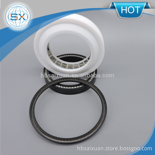 Pump machine PTFE spring energized seals, FXMF spring energized seals